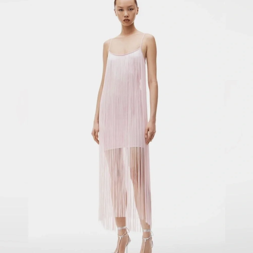 Alexander Wang Dress - Picture 6 of 7